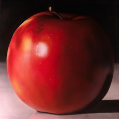 Single Red Apple